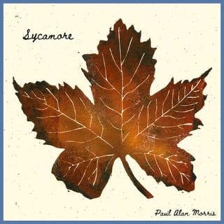 Sycamore - Single