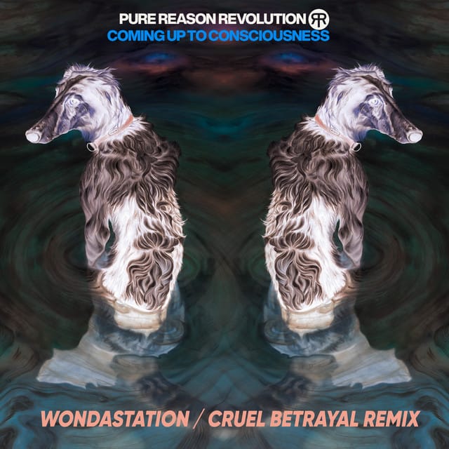 Cruel Betrayal (Wondastation Remix)