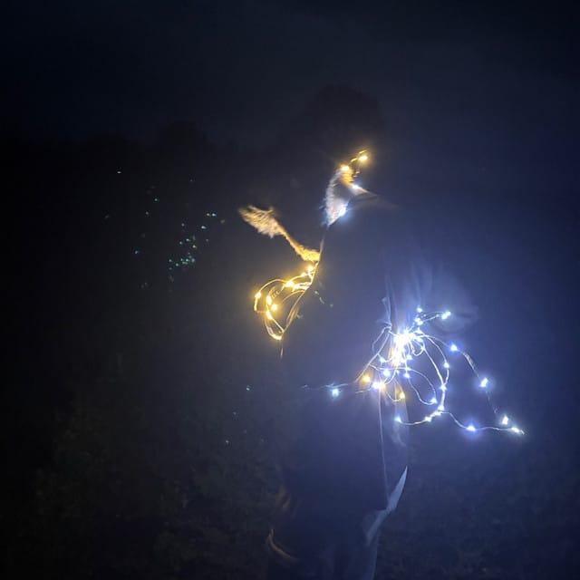 I miss you every day - Single