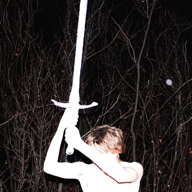 trapped in the walls - Single