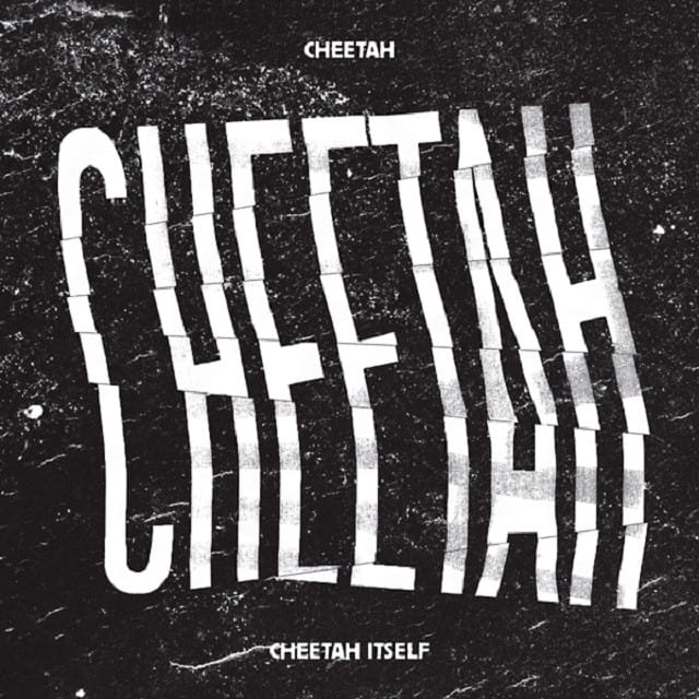 CHEETAH ITSELF