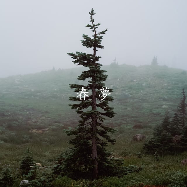 Spring dream - Single