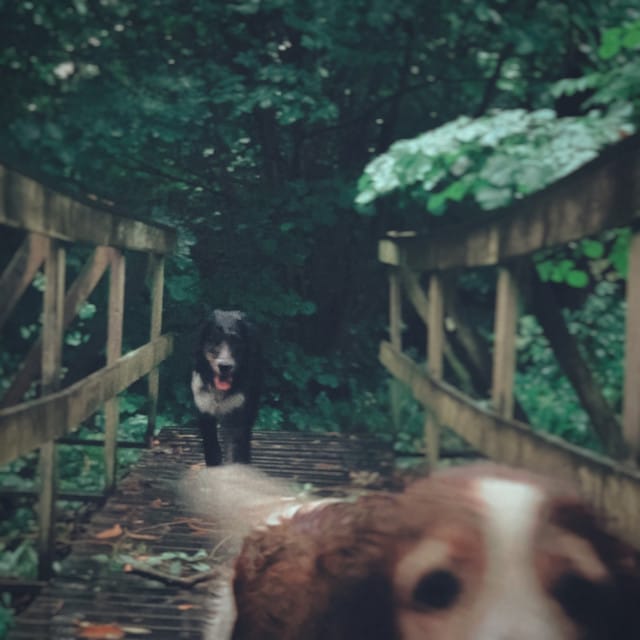 in the rain - Single