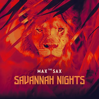 Savannah Nights