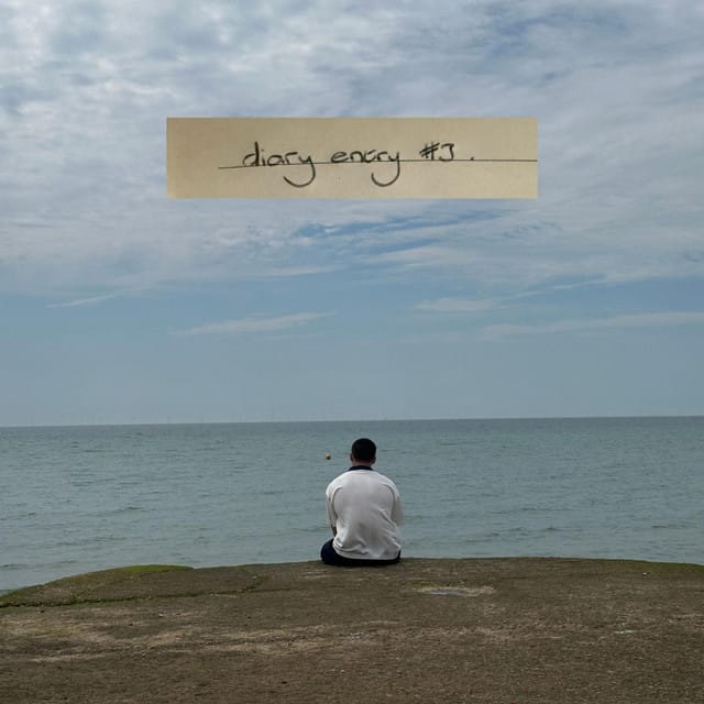 diary entry #3 - Single