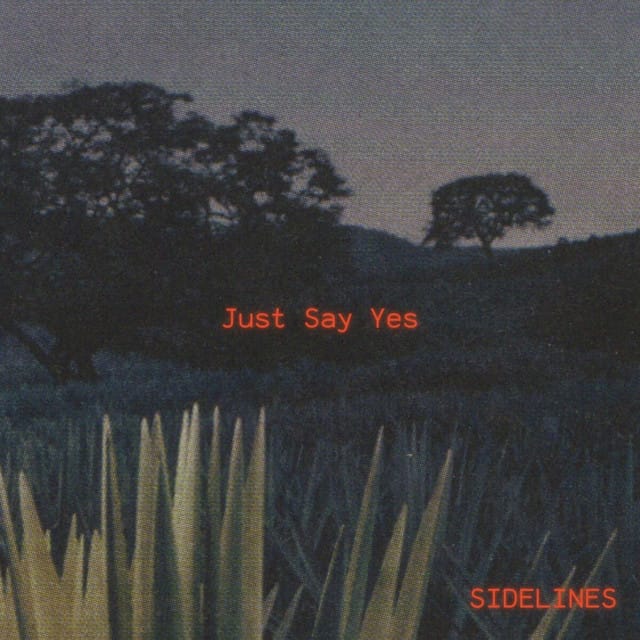 Just Say Yes - Single