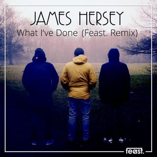 What I've done (Feast. Remix)