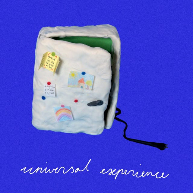 Universal Experience - Single