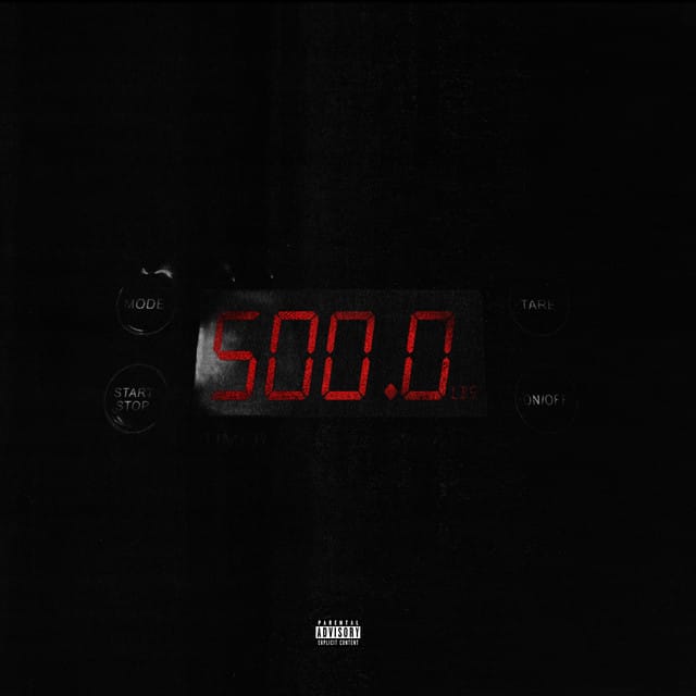 500lbs - Single