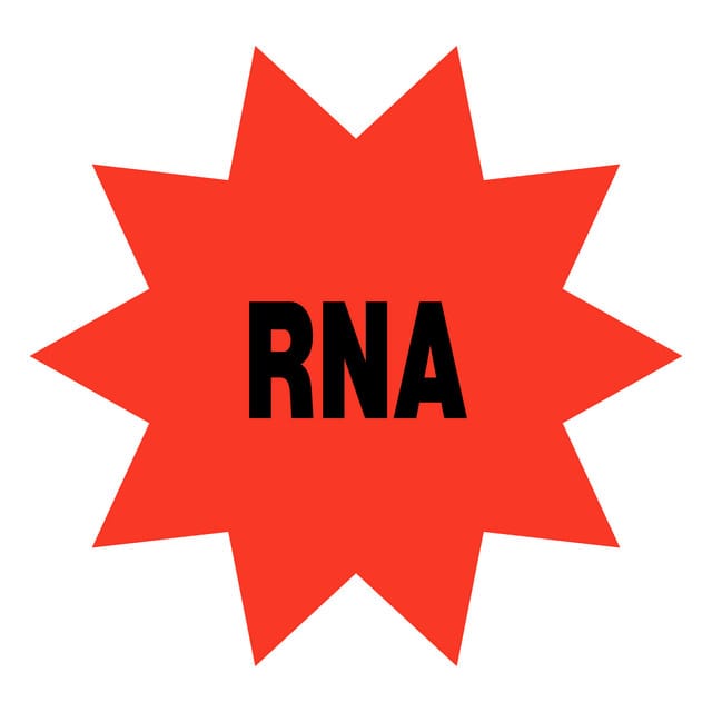 RNA