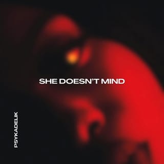 SHE DOESN'T MIND (TECHNO)