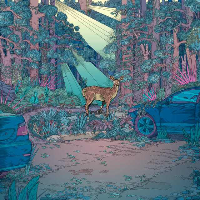 Wisteria