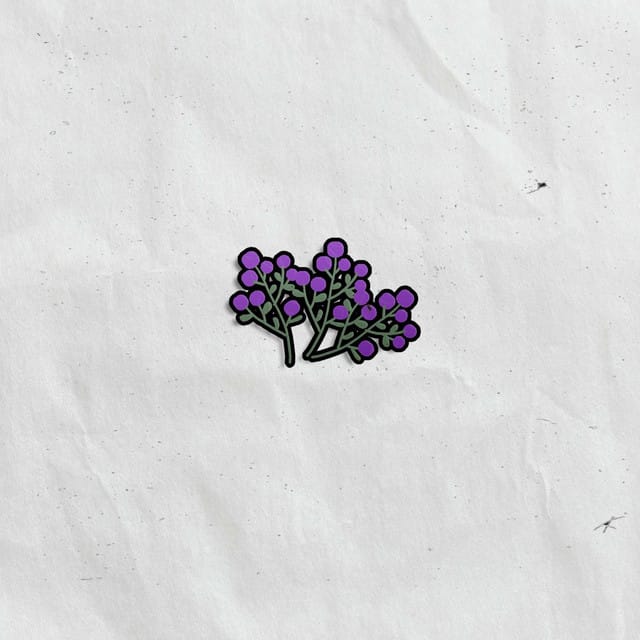 Berries