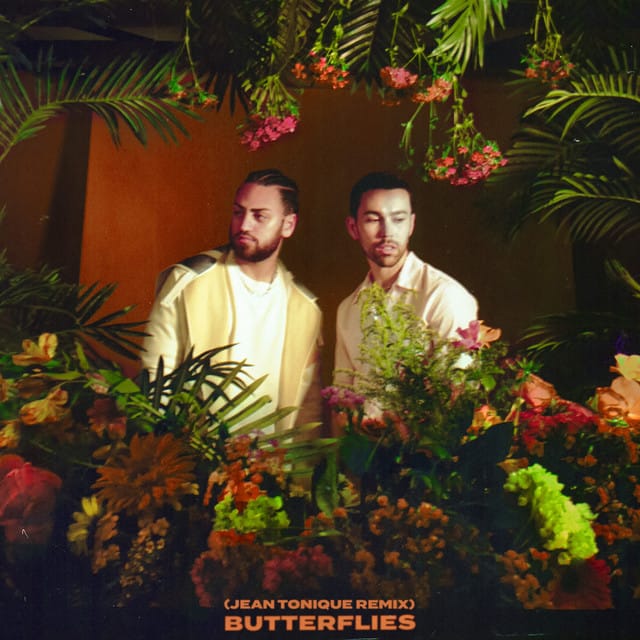 BUTTERFLIES (Jean Tonique remix)