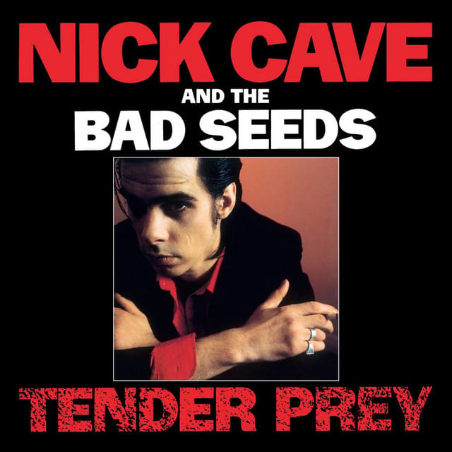Nick Cave and the Bad Seeds | Artist profile | Dork