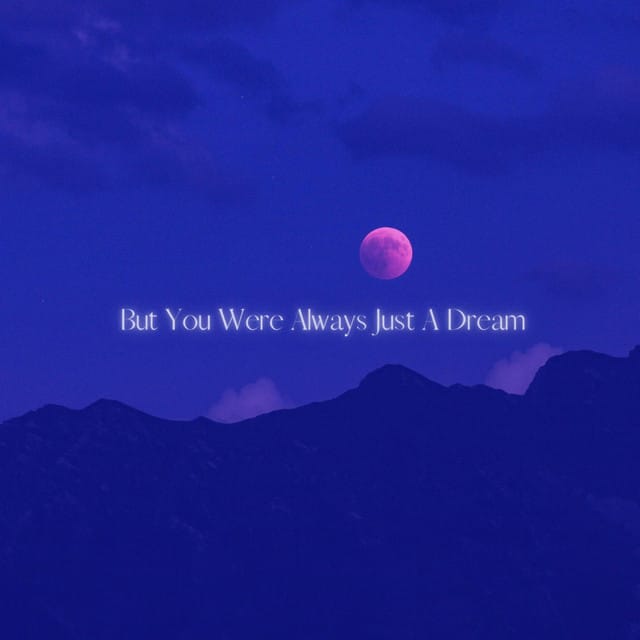 But You Were Always Just A Dream