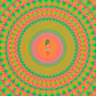 Trip