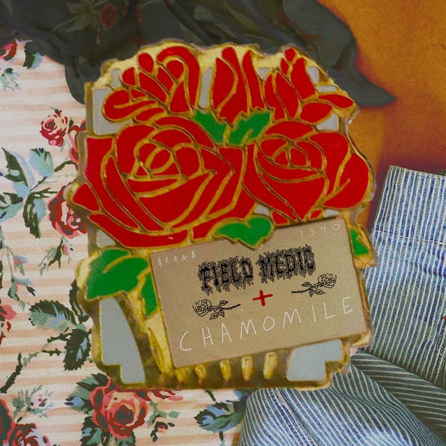chamomile