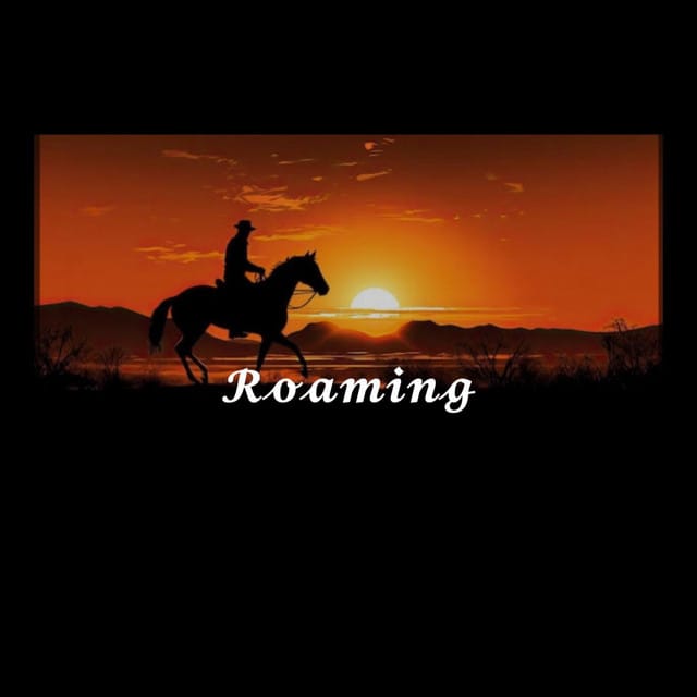 Roaming - Single