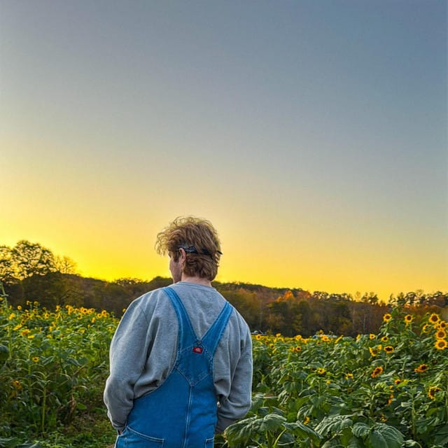 Gold Rush - Single