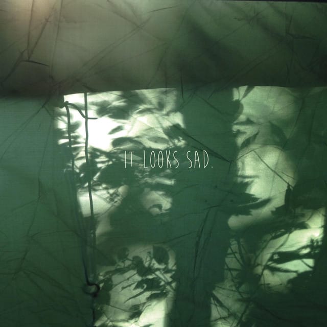 It Looks Sad. - EP