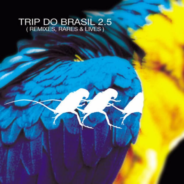 brazil.com