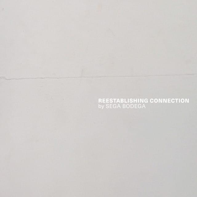 Reestablishing Connection [2020]