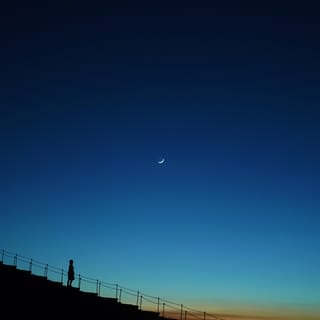Stellar
