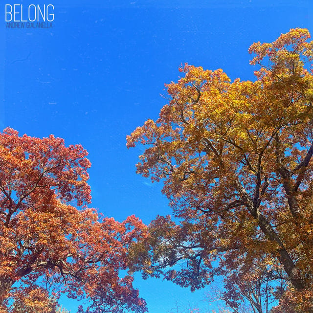 Belong - Single