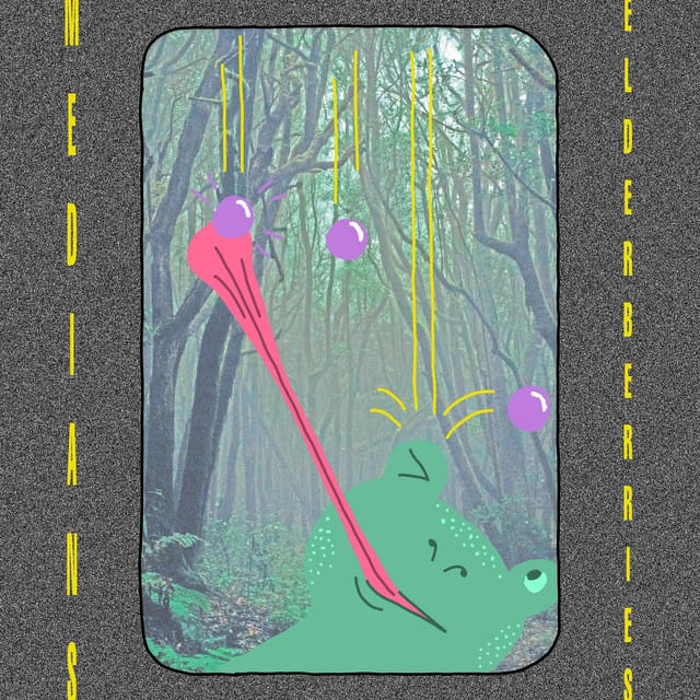 Elderberries - Single