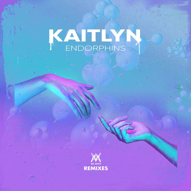 Endorphins (Remixes) - Single