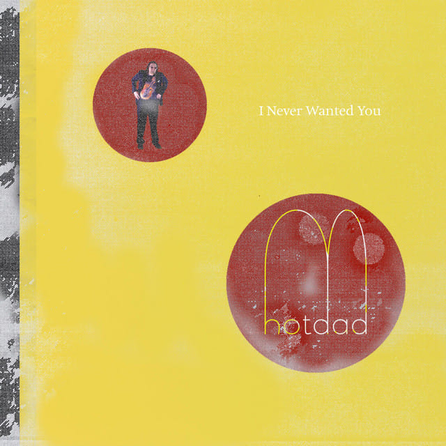 I Never Wanted You