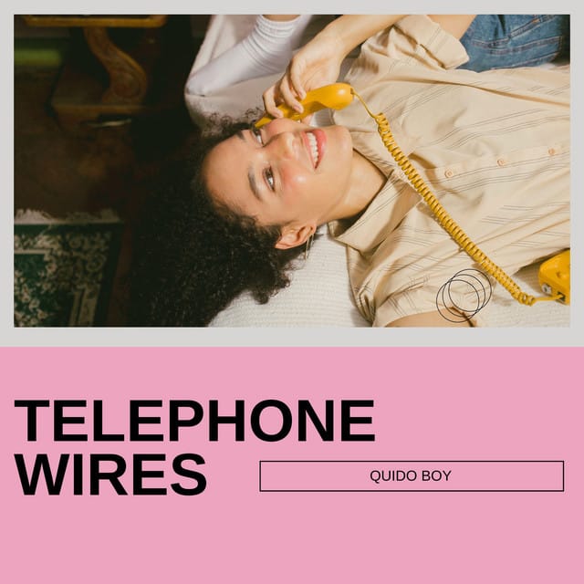 Telephone wires