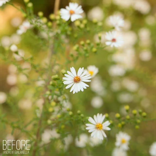 Before - Single