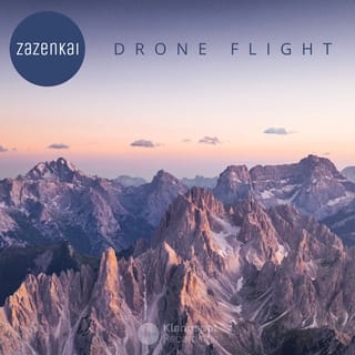 Drone Flight - Single