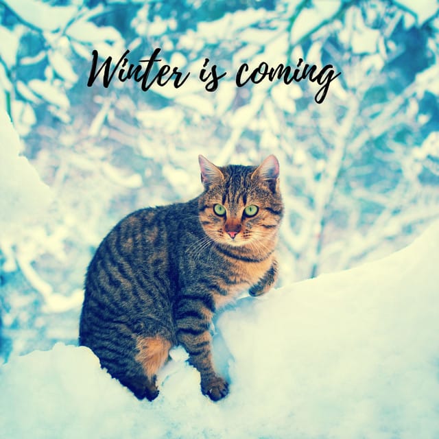 Winter Is Coming - Single