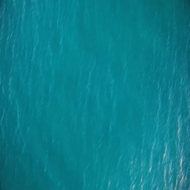 Waves
