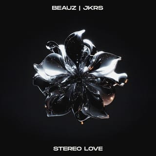 Stereo Love