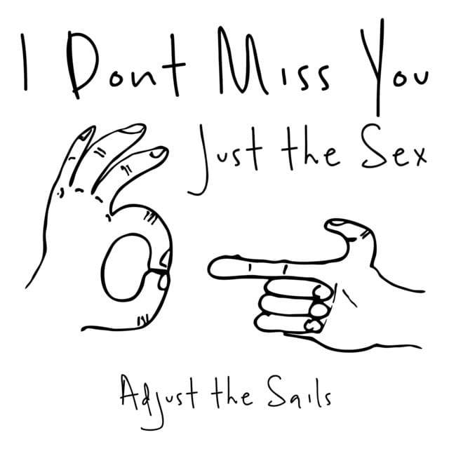 I Don't Miss You, Just the Sex - Single