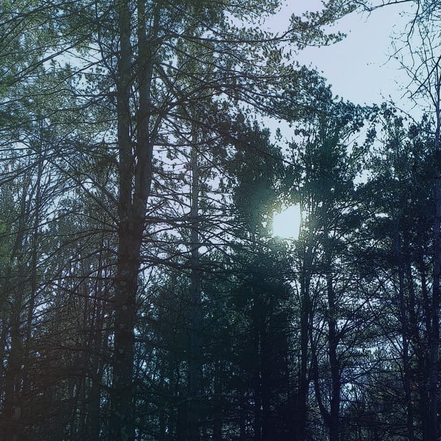 Vacant (2025 Remaster)