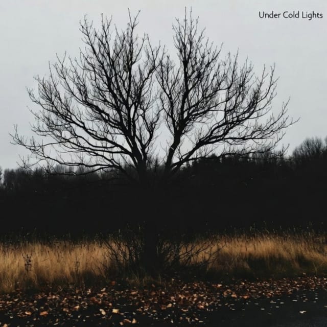 Eyes Like Embers - Single