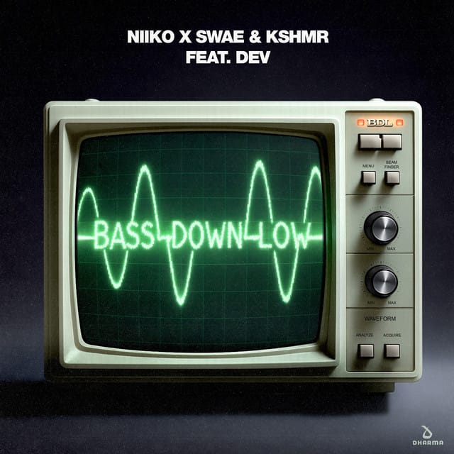 Bass Down Low (feat. DEV)