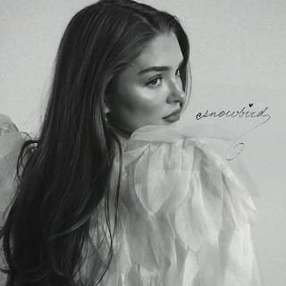 Snowbird - Single