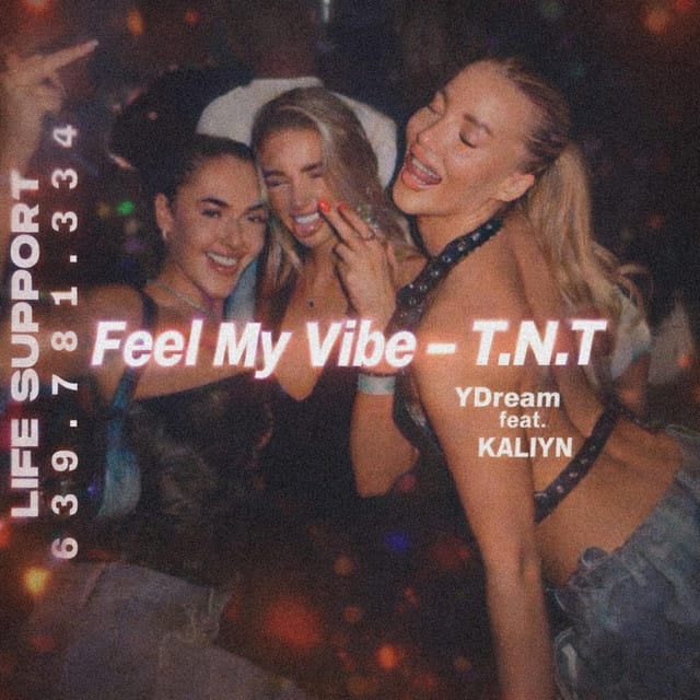 Feel My Vibe (T.N.T)