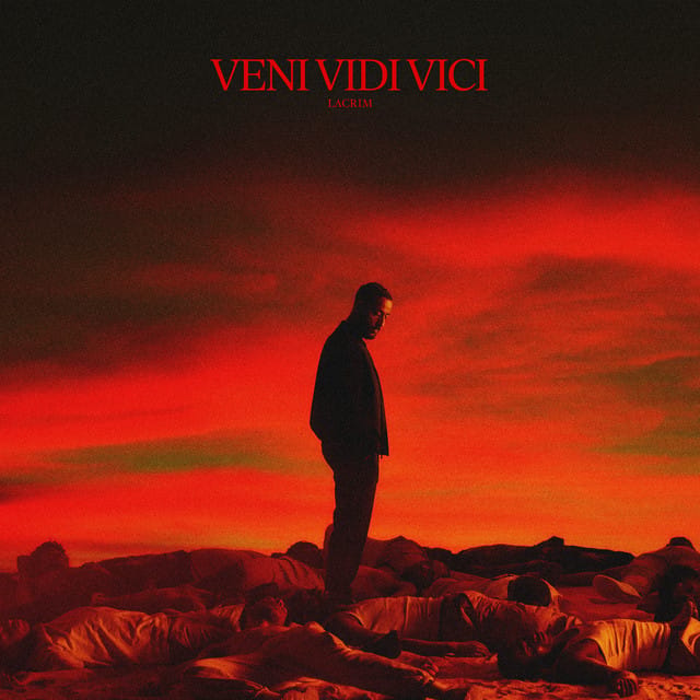 7 VIES