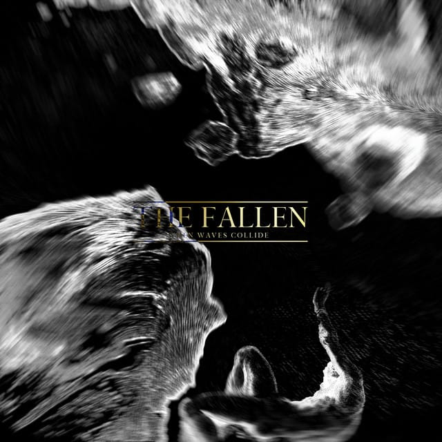 The Fallen - Single