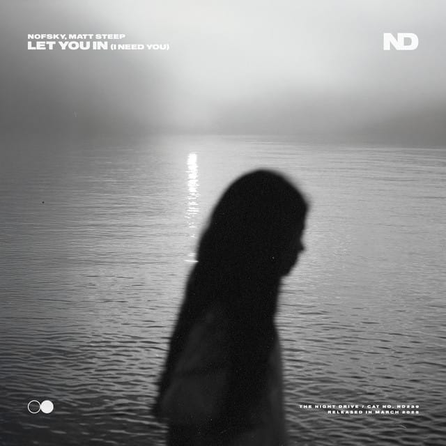 Let You In (I Need You)