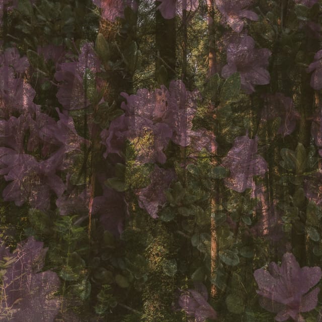 mirage - Single