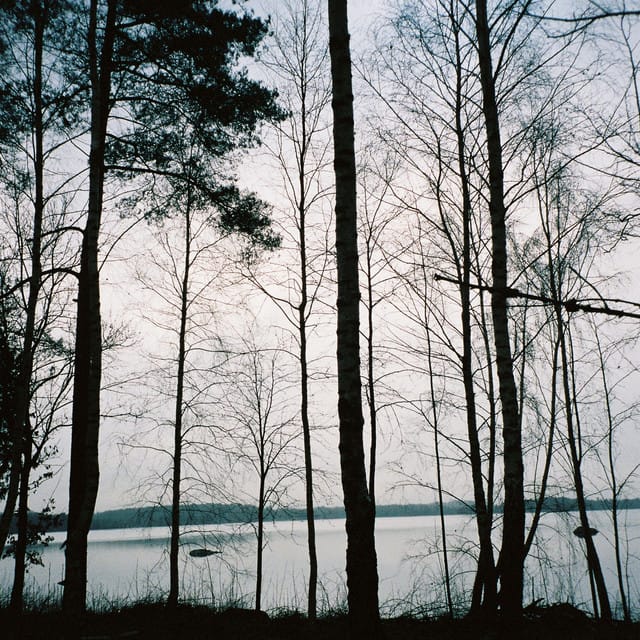 Gallery - Single