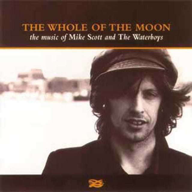 The Whole of the Moon (Video Version) - Single